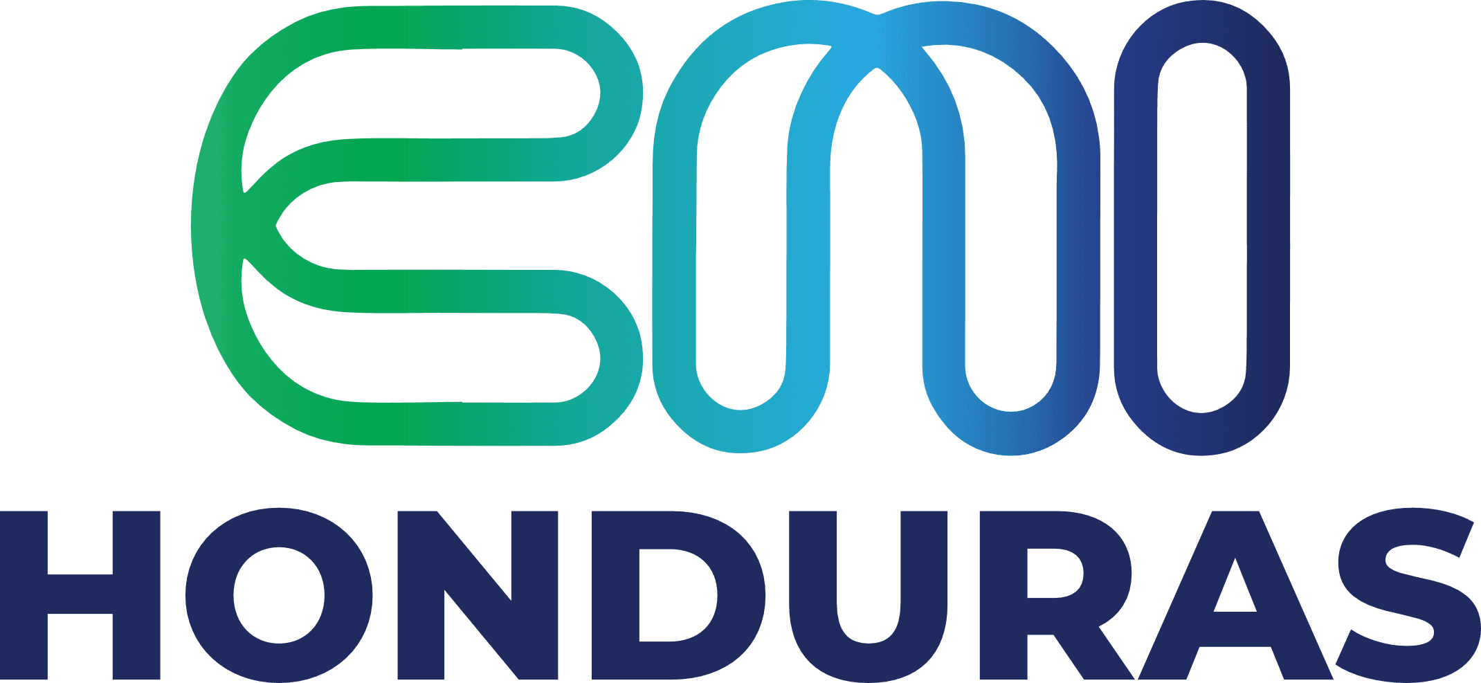 Logo del Consejo Nacional de Inversiones