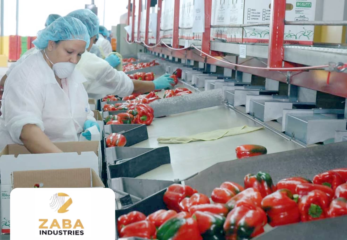 Empacadora de Frutas y Vegetales