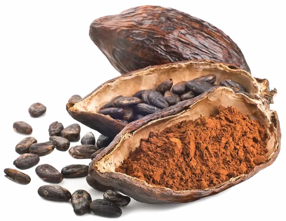 Cacao Orgánico con Valor Agregado